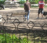 Площадка за разходка на кучета - Бургас, Морската градина Площадка за разходка на кучета - Бургас, Морската градина