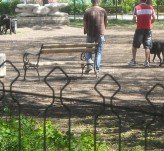 Площадка за разходка на кучета - Бургас, Морската градина Площадка за разходка на кучета - Бургас, Морската градина